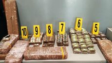 طنجة ..اجهاض عملية للتهريب الدولي لشحنة تتكون أكثر من طن من مخدر الشيرا