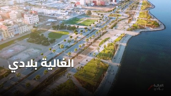 وثائقيات الأولى.. طفرة الكم وجودة الكيف بدأت منذ أزيد من عقد من الزمن