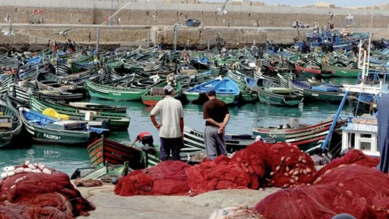 ميناء آسفي يُسجل انخفاض كميات منتجات الصيد الساحلي والتقليدي بـ14 في المائة سنة 2024