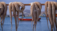 تعيينات جديدة تنعش آمال نقابيي الفلاحة والصيد في معالجة الاختلالات العميقة