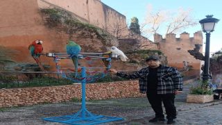 شفشاون.. مدينة الجمال وعودة الببغاوات إلى أحضان وطاء الحمام