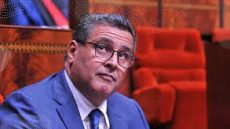 أخنوش يطلق تنزيل العقوبات البديلة‎