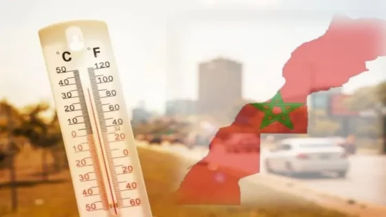 موجة حر من الثلاثاء إلى الجمعة